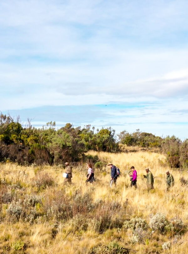 Hikers exploring the scenic trails of Mount Elgon National Park during a mountain trekking adventure in Uganda.