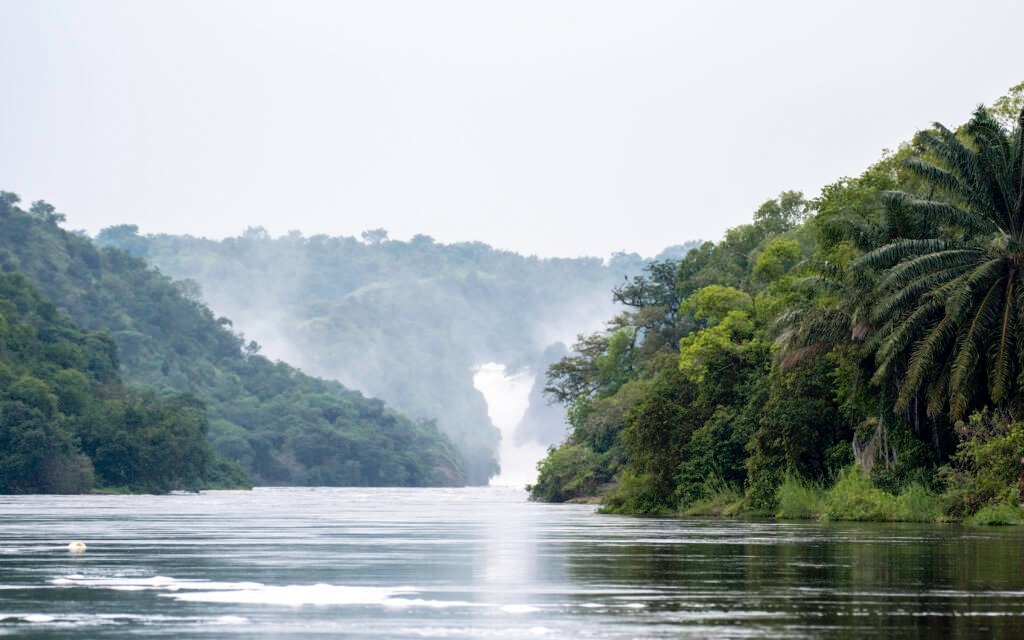 Murchison Falls National Park landscape with River Nile flowing through lush tropical forest in Uganda