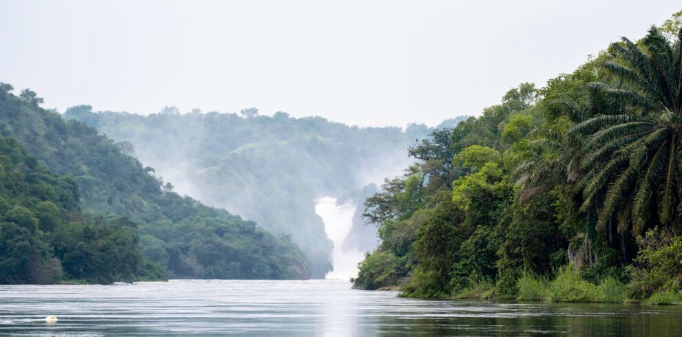 Murchison Falls National Park landscape with River Nile flowing through lush tropical forest in Uganda