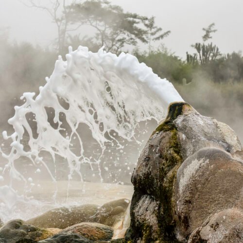 Hot springs in Semuliki National Park surrounded by natural forest during an unforgettable Uganda safari adventure.