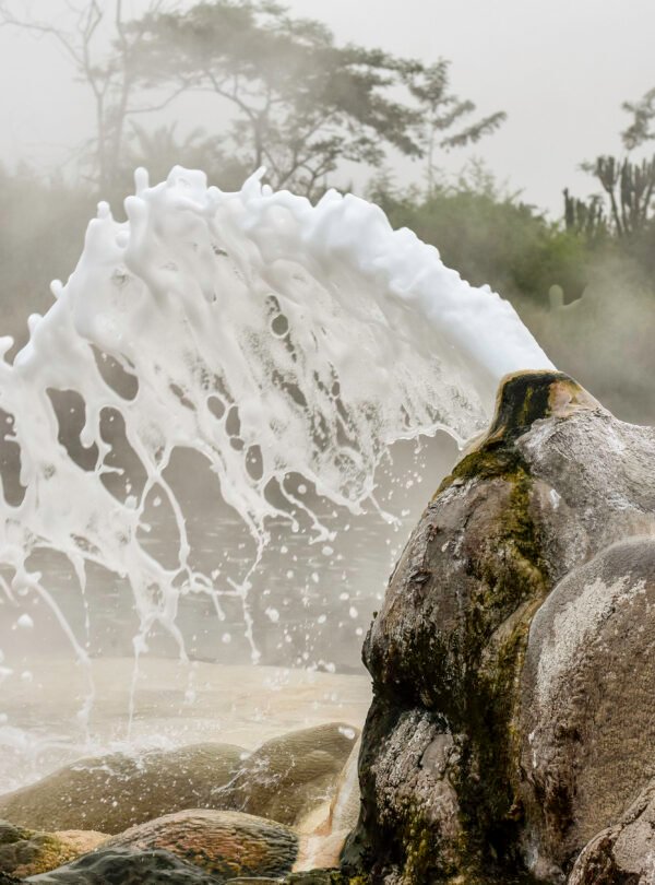 Hot springs in Semuliki National Park surrounded by natural forest during an unforgettable Uganda safari adventure.