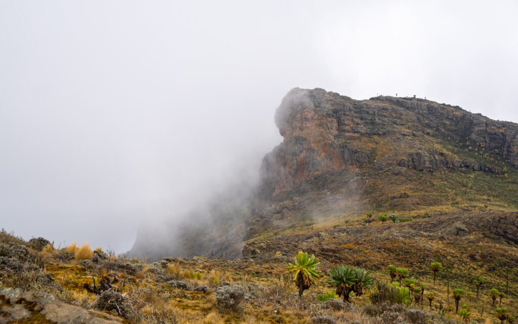 Mount Elgon hiking trail with mist-covered peaks in Mount Elgon National Park Uganda