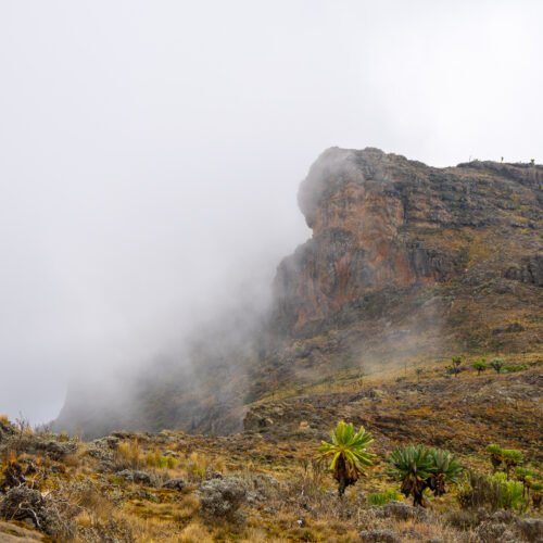 Mount Elgon hiking trail with mist-covered peaks in Mount Elgon National Park Uganda