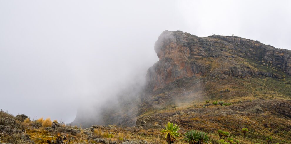 Mount Elgon hiking trail with mist-covered peaks in Mount Elgon National Park Uganda
